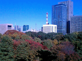 二の丸展望台から